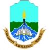 Niger Delta University logo